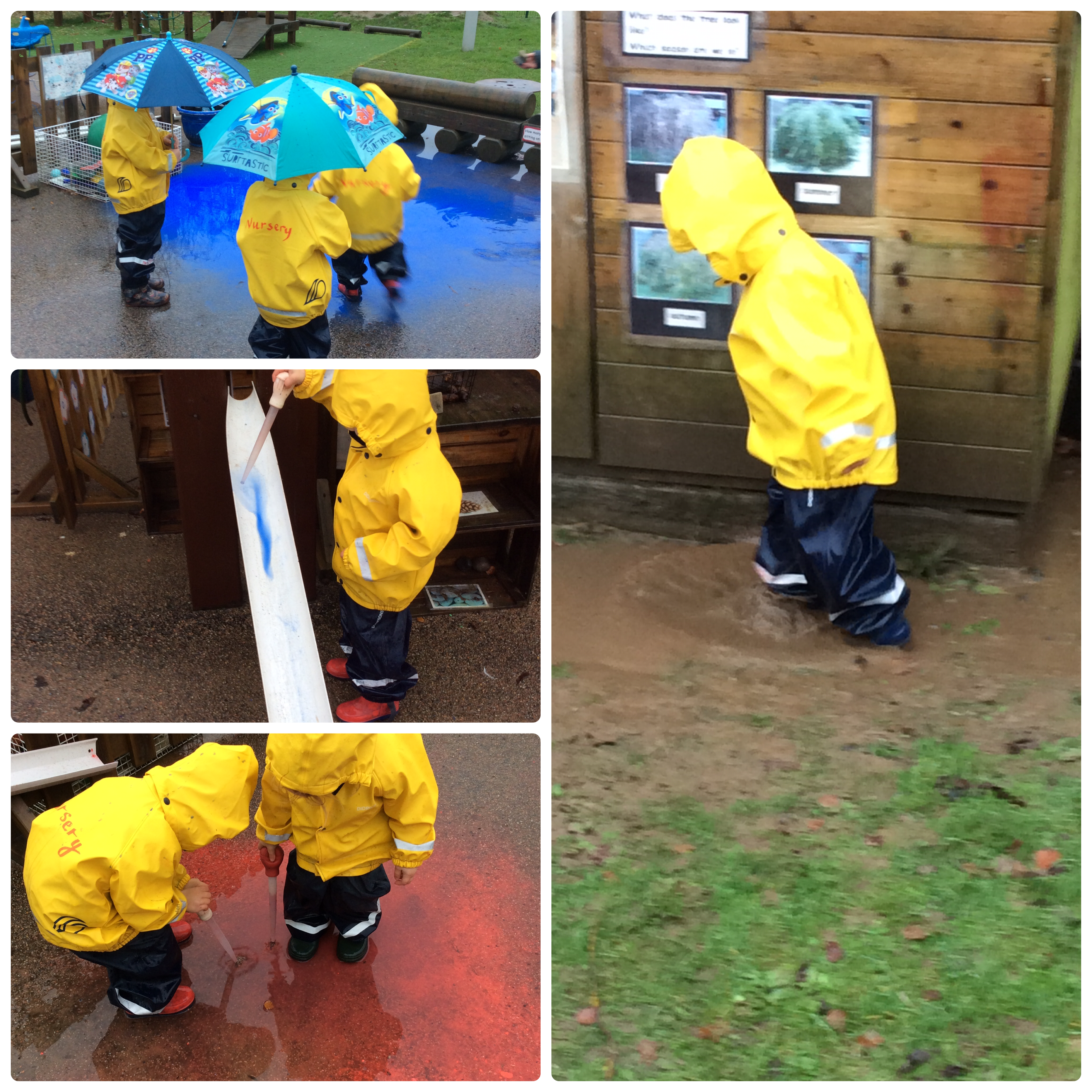 We had great fun investigating in the rain. 